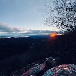 Meet your Posher, Lily